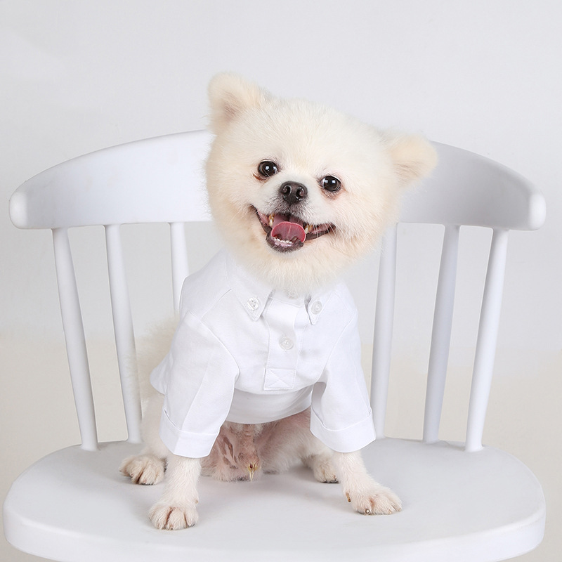 Spring and Autumn Pet Bottomin - Summer Dog Clothing avis et prix