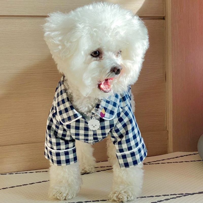 Cute Plaid Dog Shirt Summer Pe - Summer Dog Clothing avis et prix