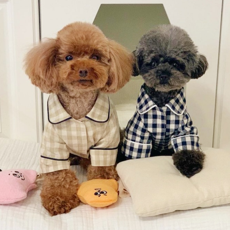 Cute Plaid Dog Shirt Summer Pe - Summer Dog Clothing avis et prix