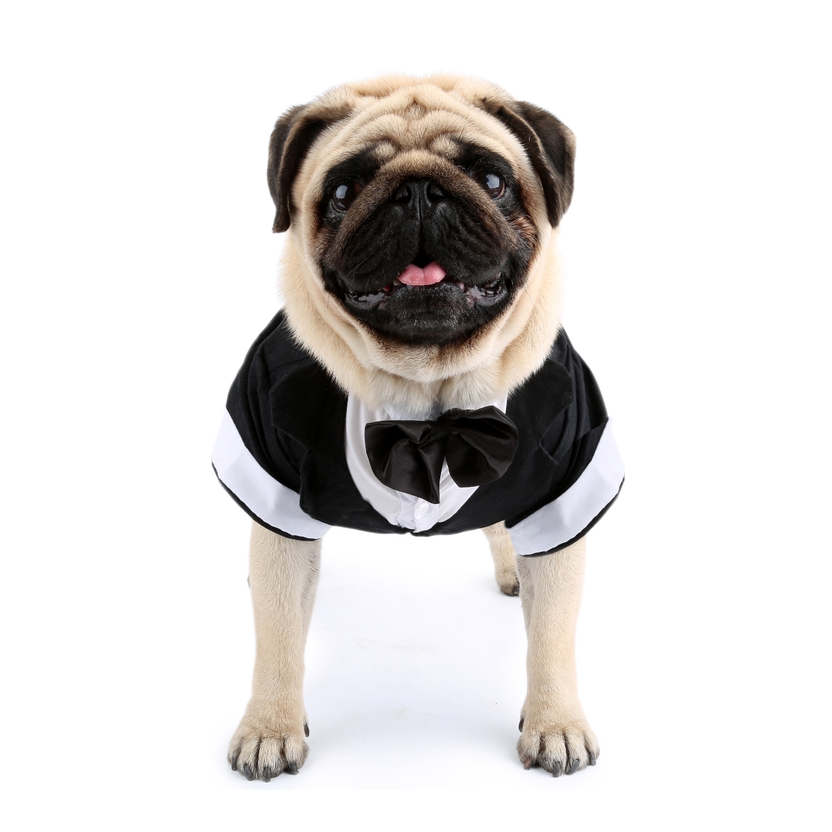 Dog Shirt Puppy Clothes, Pet W - Summer Dog Clothing avis et prix